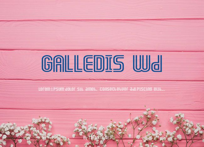 GALLEDIS Wd example